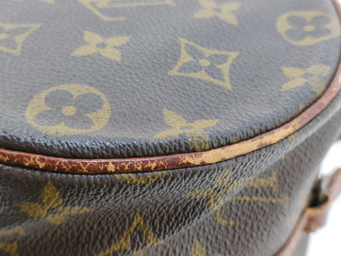 LOEWE LV Monogram Papillon 30 M51365 Handbag