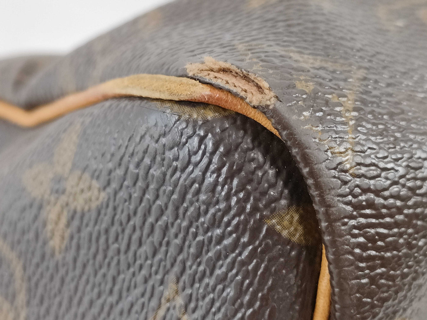 LOUIS VUITTON Louis Vuitton Monogram Speedy 25 Boston Bag