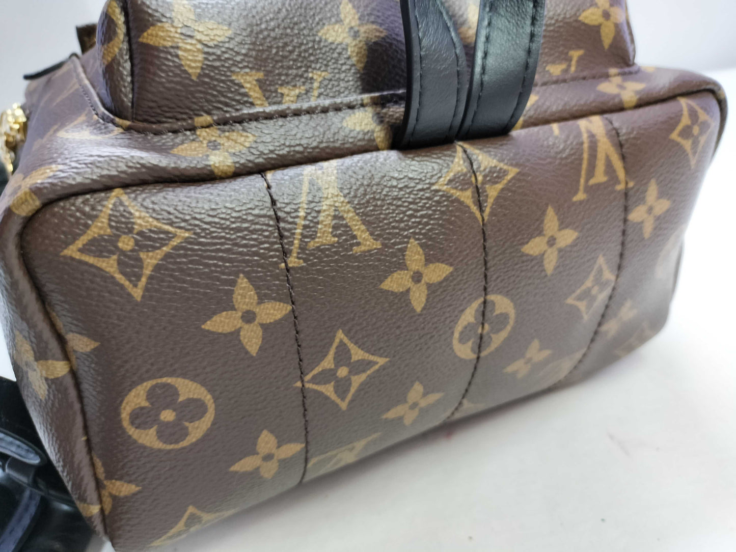 LOUIS VUITTON Monogram Palm Springs PM Monogram M41560 Backpack