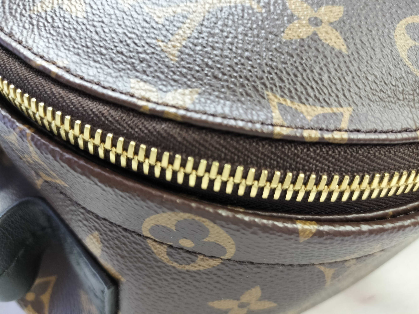 LOUIS VUITTON Monogram Palm Springs PM Monogram M41560 Backpack