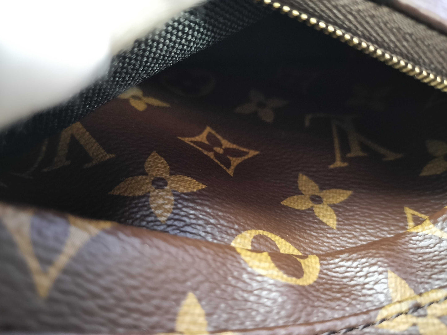 LOUIS VUITTON Monogram Palm Springs PM Monogram M41560 Backpack