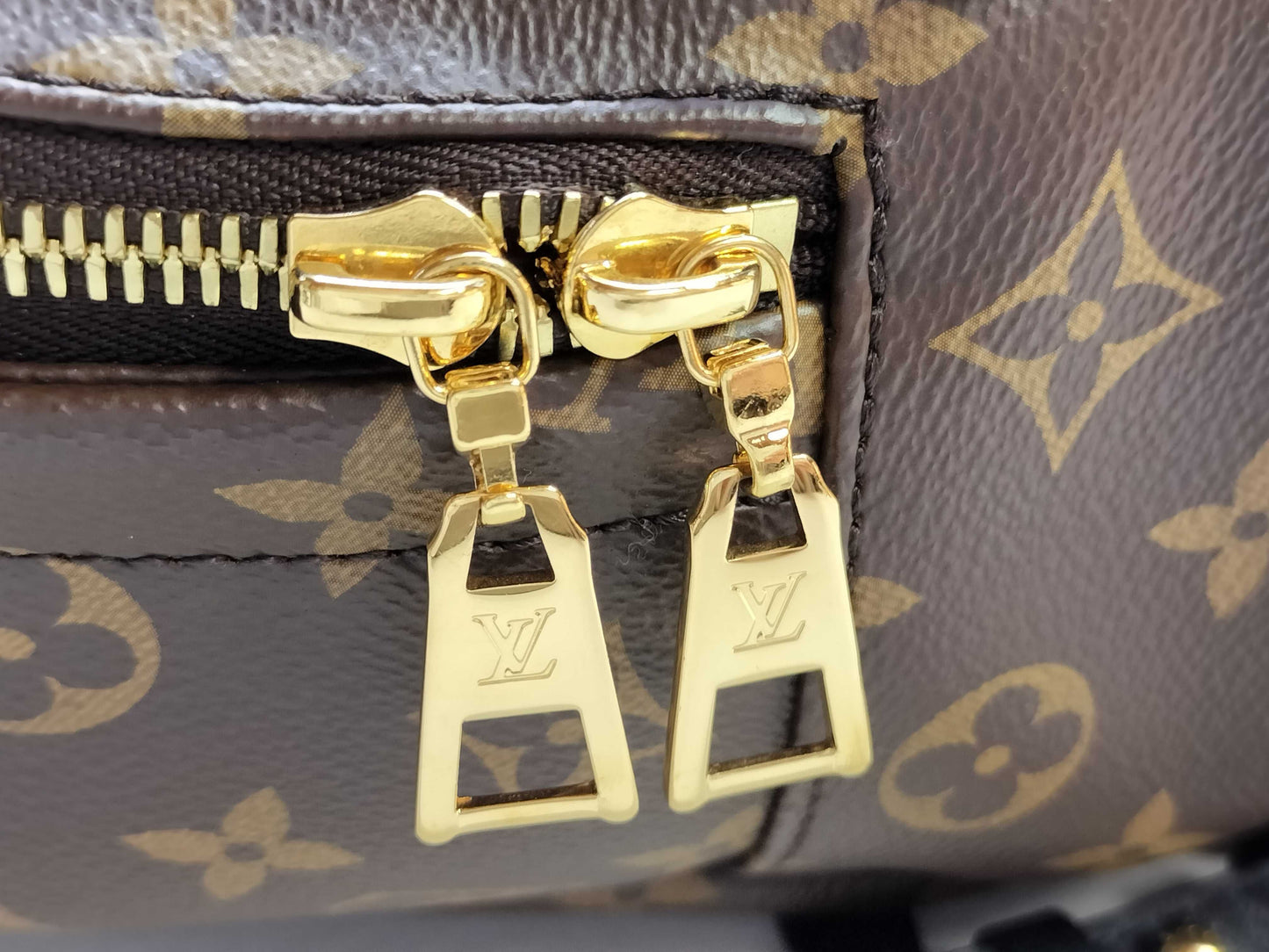 LOUIS VUITTON Monogram Palm Springs PM Monogram M41560 Backpack