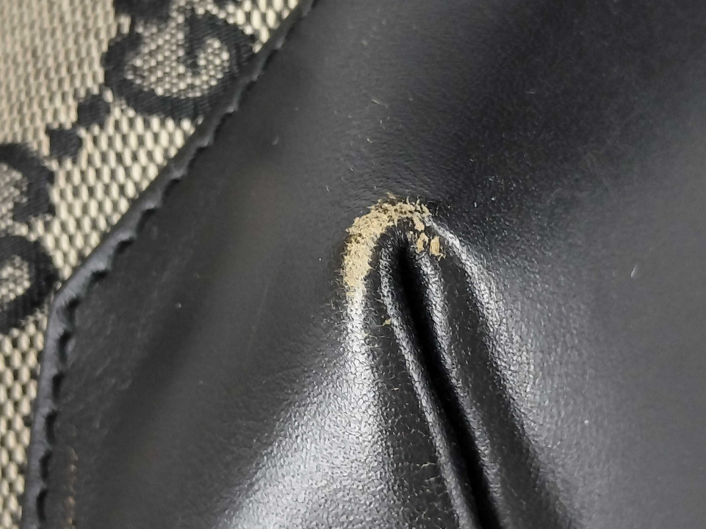 GUCCI GG Canvas Shoulder Bag