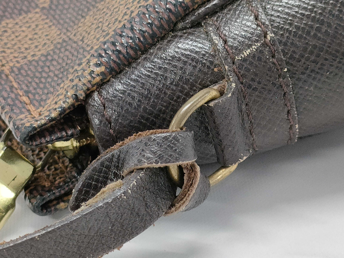 LOUIS VUITTON Damier Truth Makeup Pouch