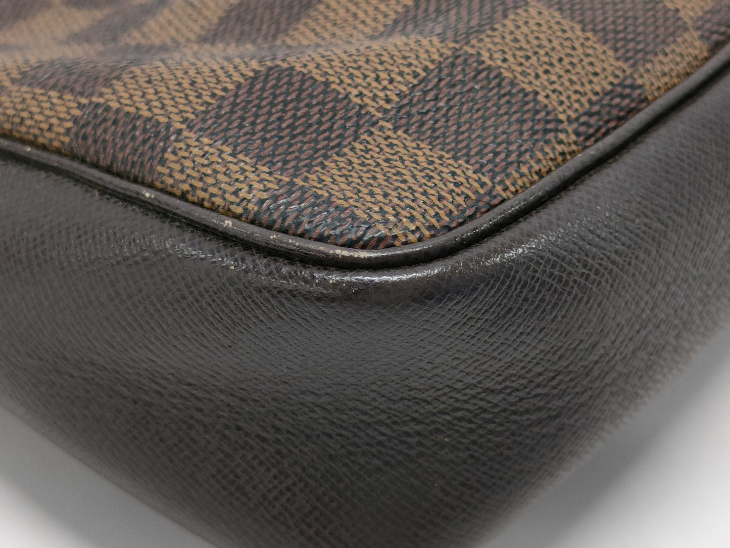 LOUIS VUITTON Damier Truth Makeup Pouch