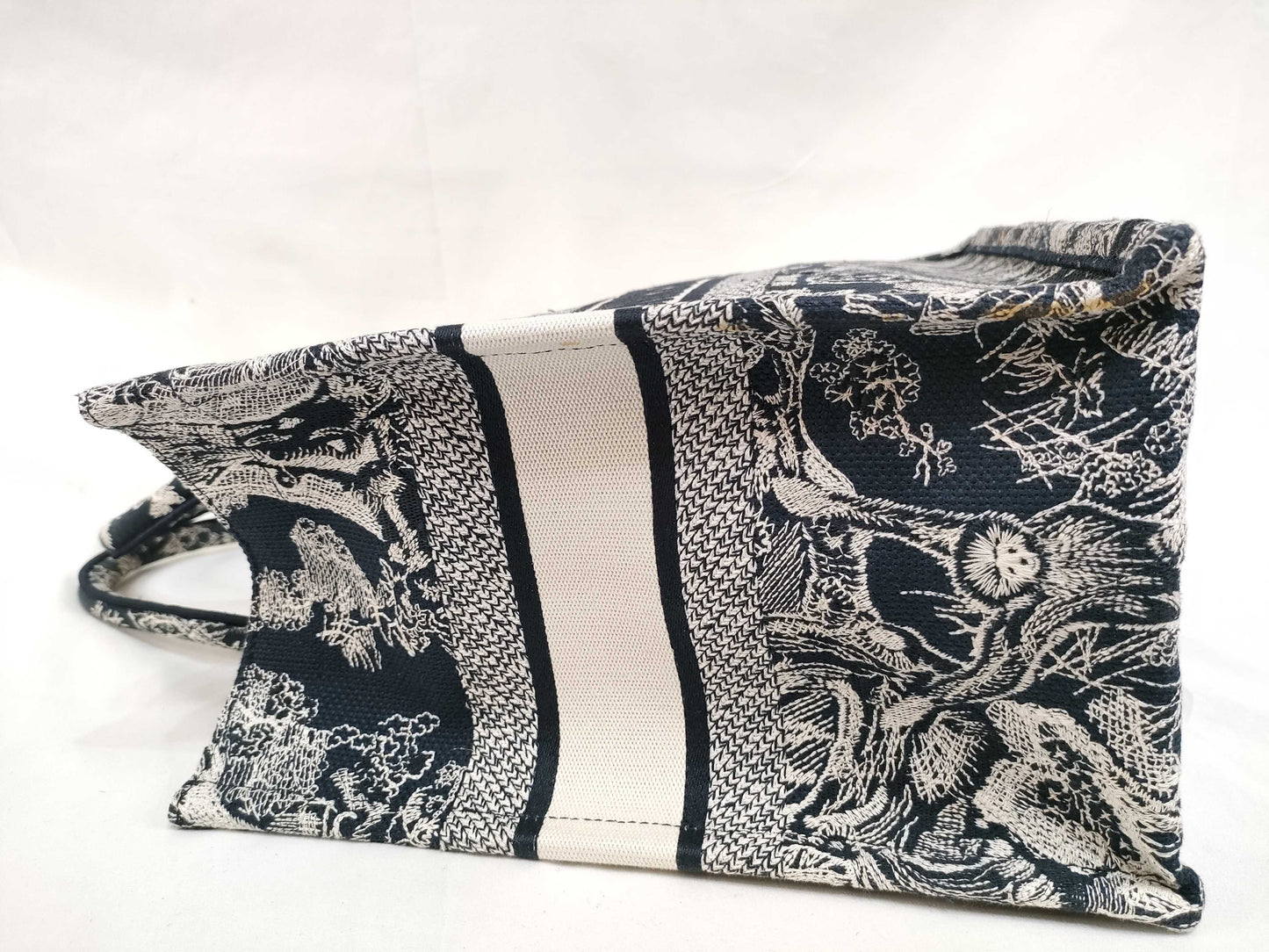 Dior Book Tote Bag