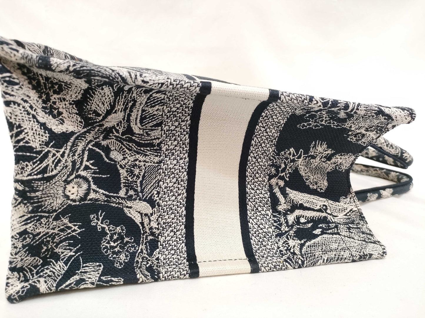 Dior Book Tote Bag