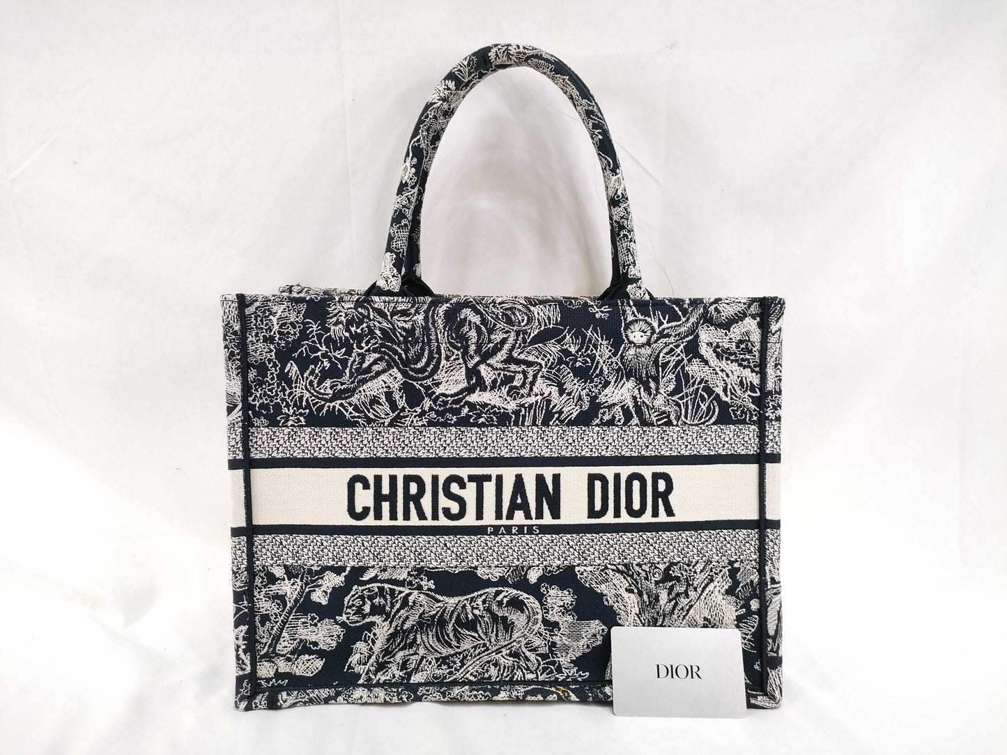 Dior Book Tote Bag