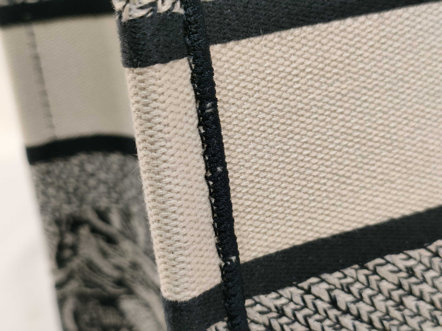 Dior Book Tote Bag