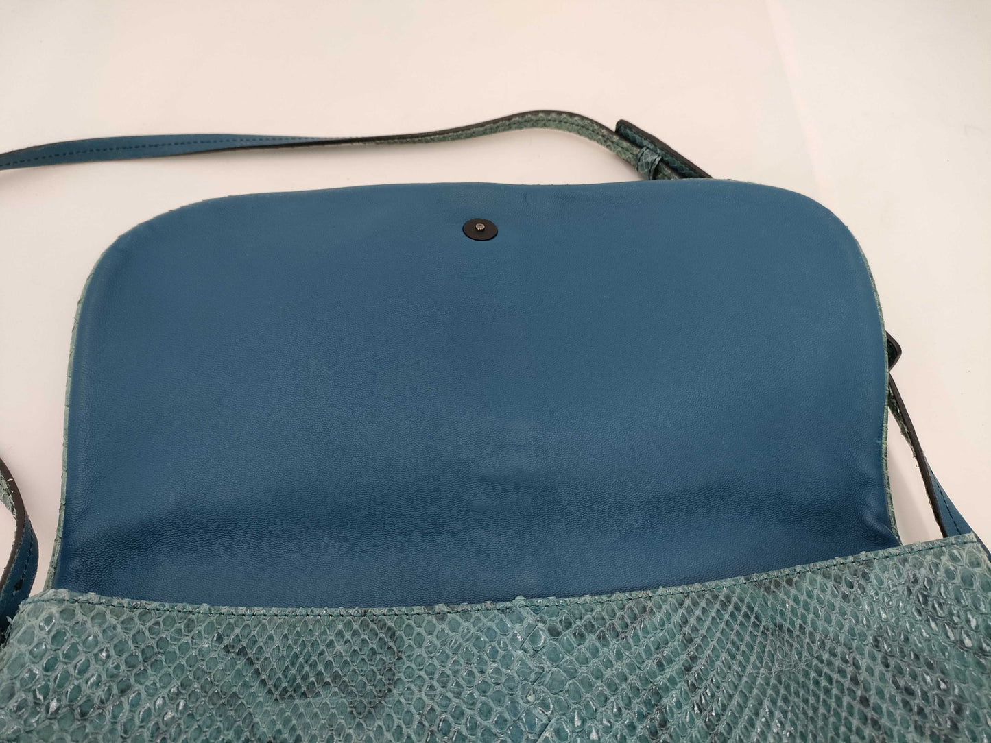 BOTTEGA VENETA Python Shoulder Bag