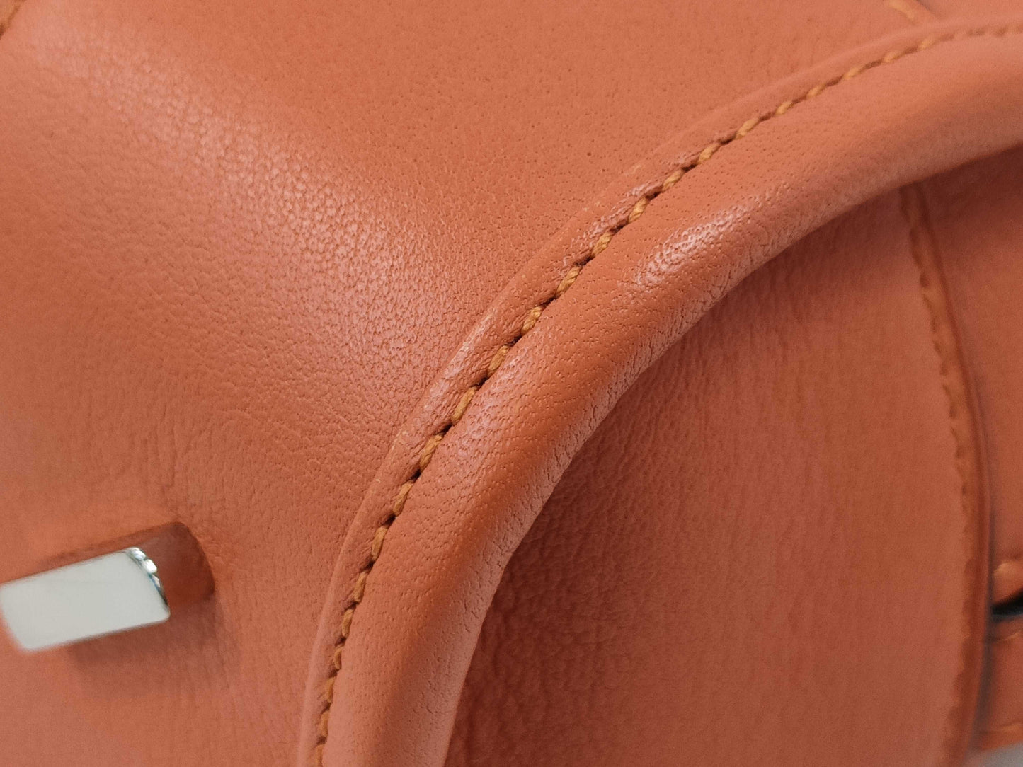 LOEWE Amazona 23 2-Way Handbag/Shoulder Bag