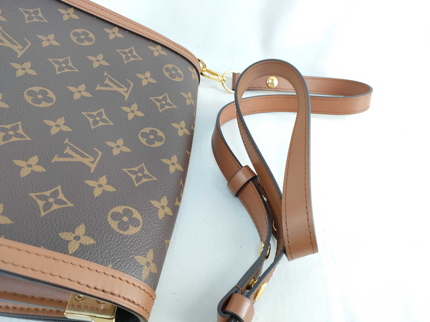LOUIS VUITTON Monogram Louis Vuitton Dauphine MM Shoulder Bag