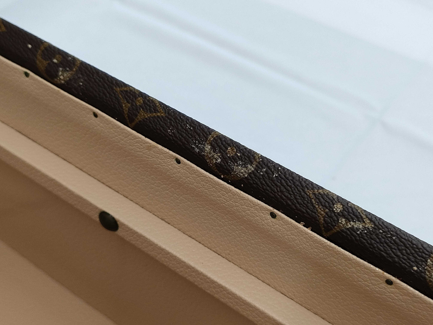 LOUIS VUITTON LV Trunk Case Bag