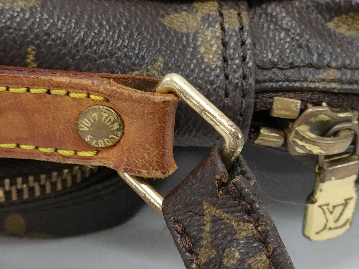 LOUIS VUITTON Monogram Danube Shoulder Bag