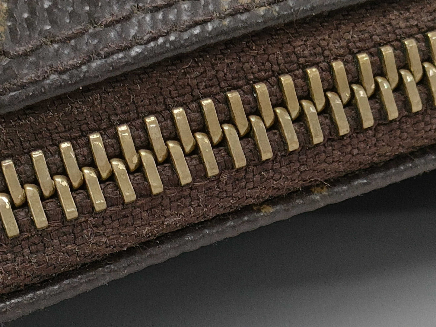 LOUIS VUITTON Monogram Danube Shoulder Bag