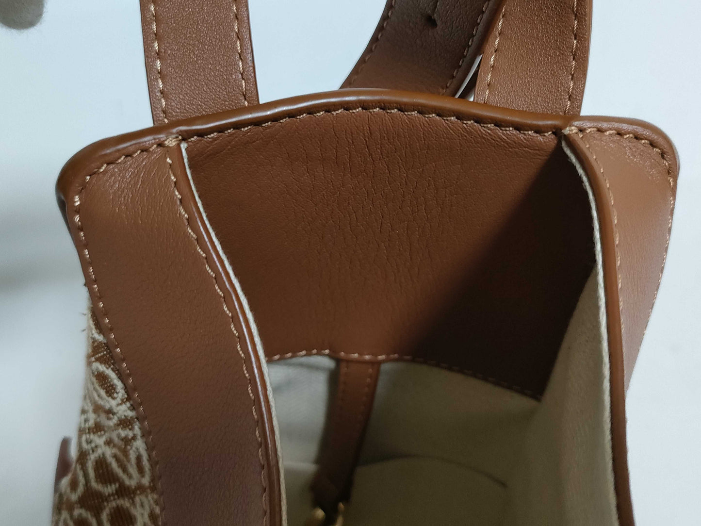 LOEWE Hammock Small 2-Way Bag Handbag