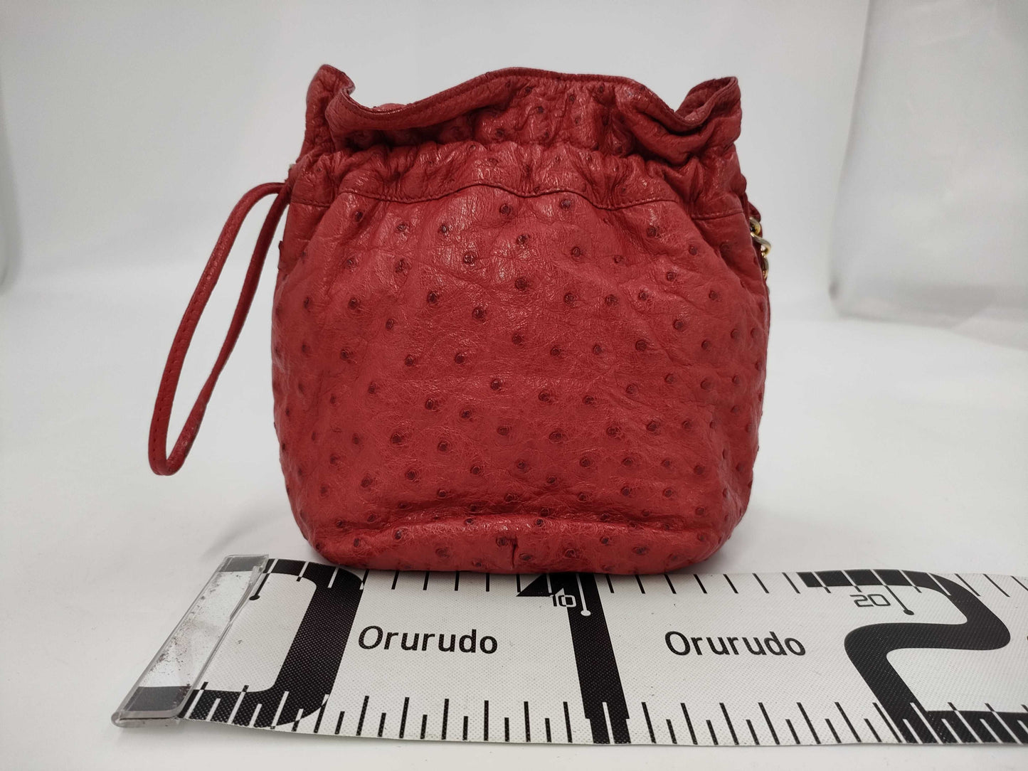 CHANEL Chanel Ostrich Drawstring Shoulder Bag 0531305