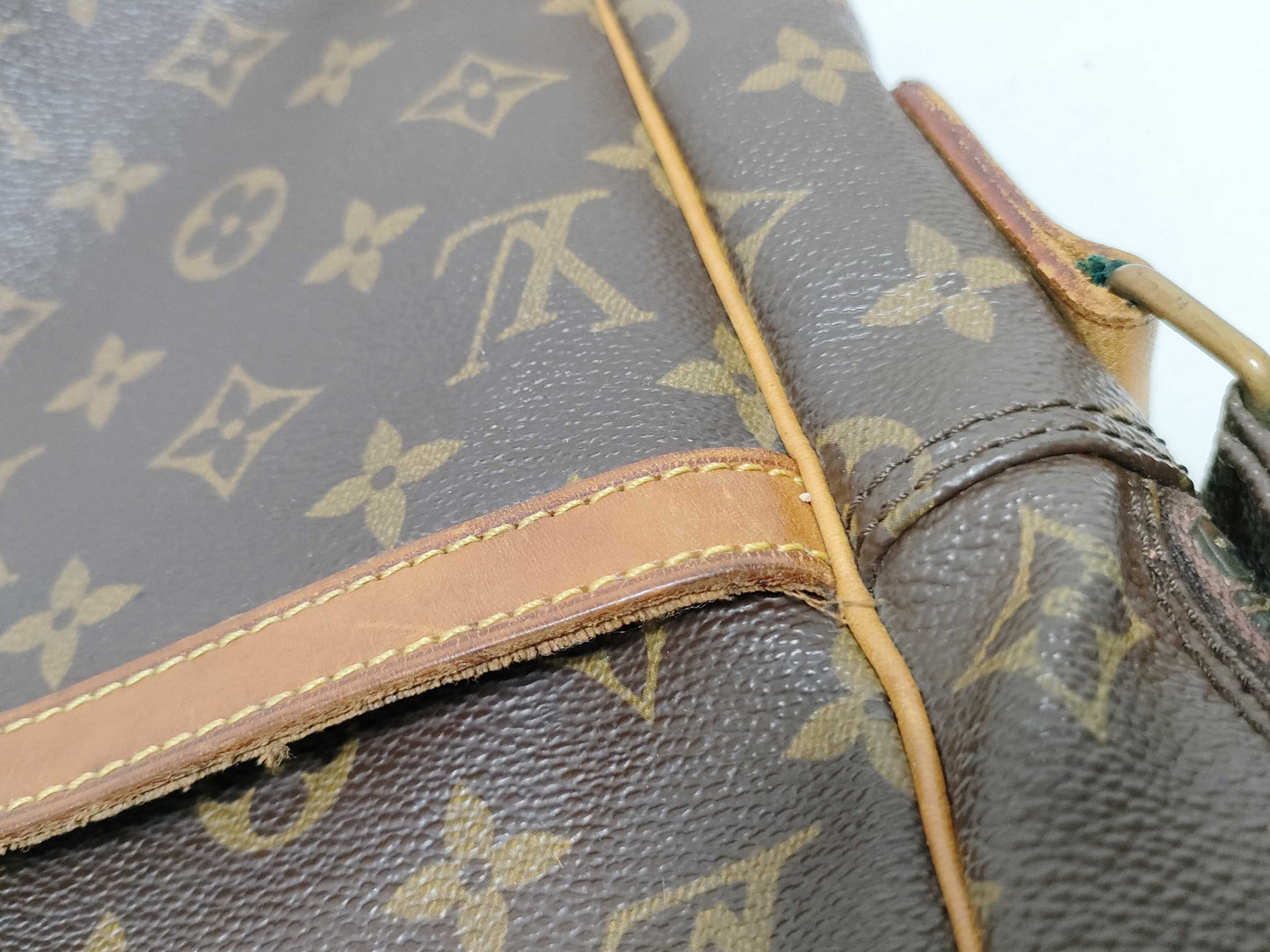 LOUIS VUITTON Monogram LV Monogram Danube Shoulder Bag