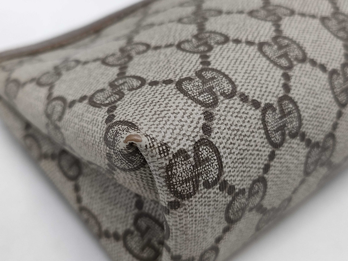 GUCCI pouch