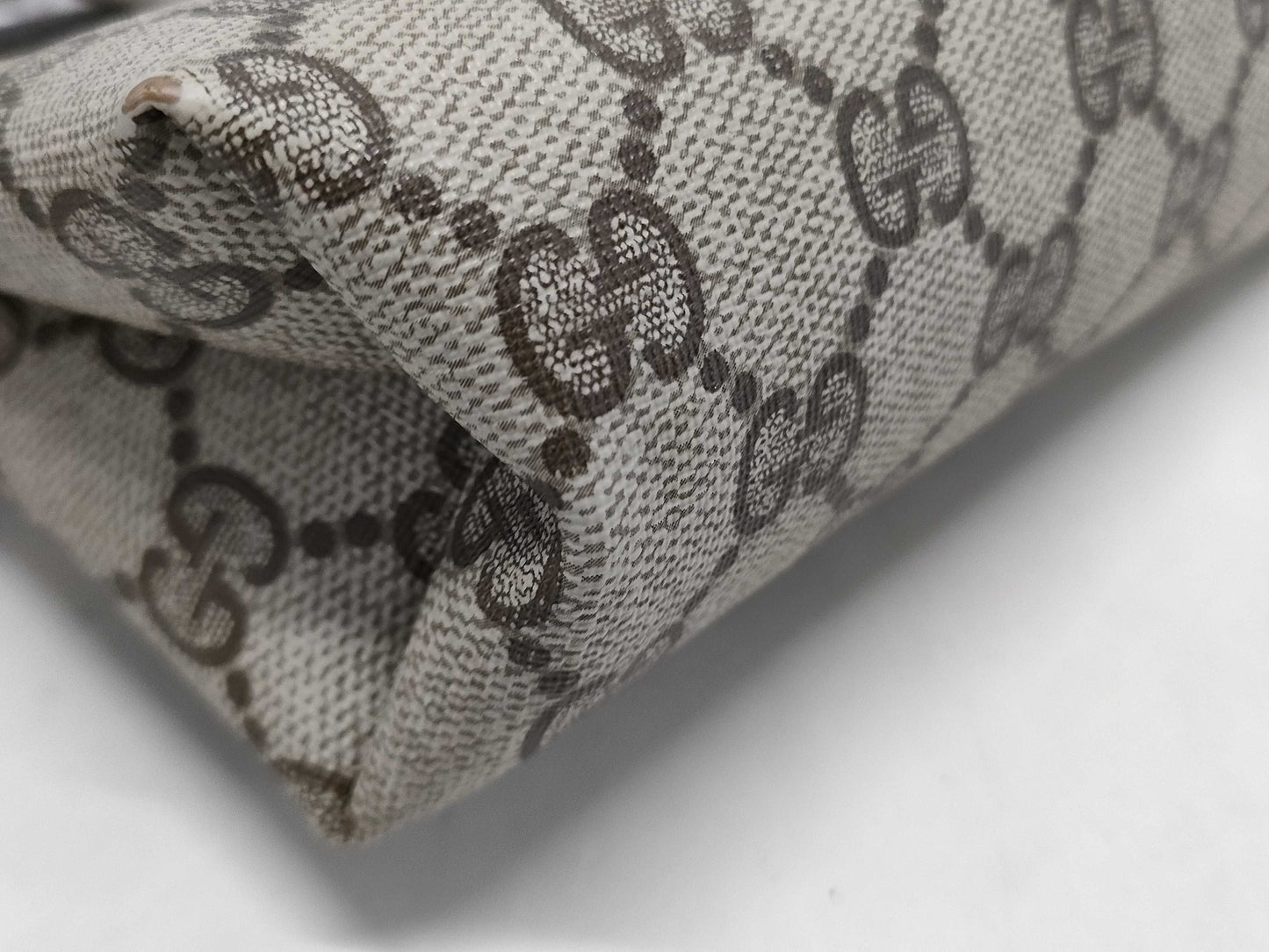 GUCCI pouch