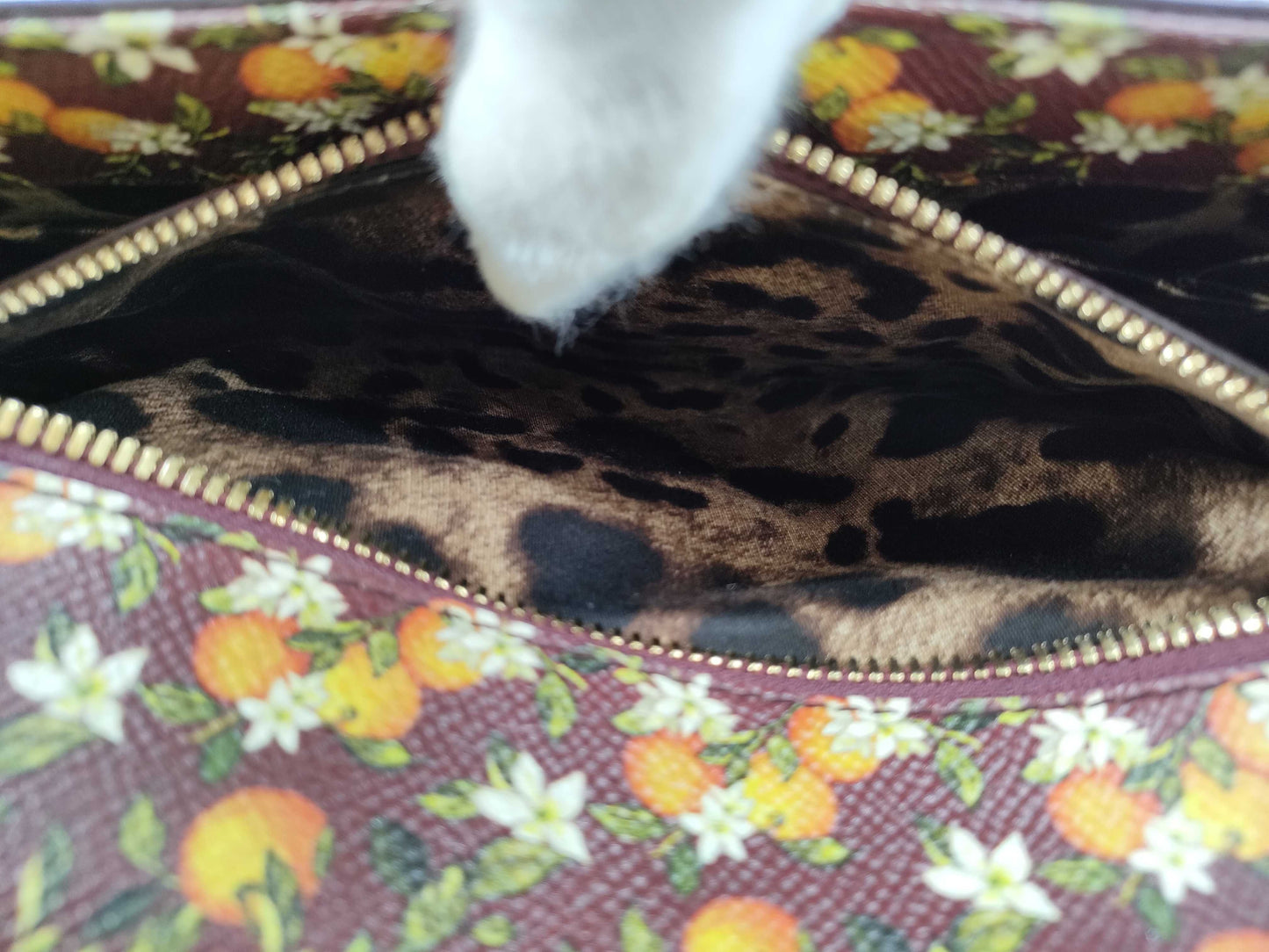 D&G Sicily 2-way handbag/shoulder bag