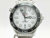 OMEGA Seamaster 210.30.42.20.04.001 82445599 Men's Watch