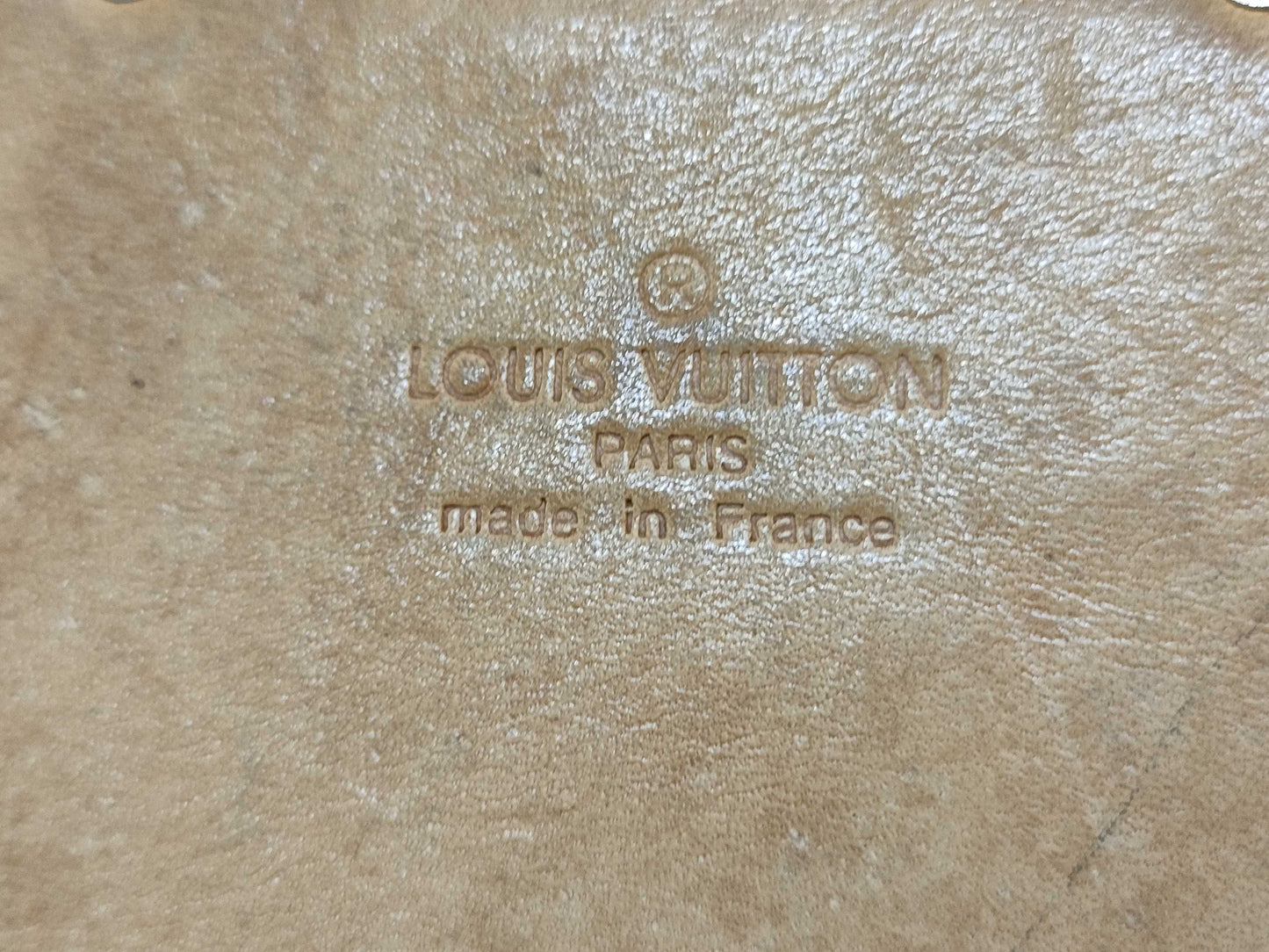 LOUIS VUITTON Multicolor Saumur Bag