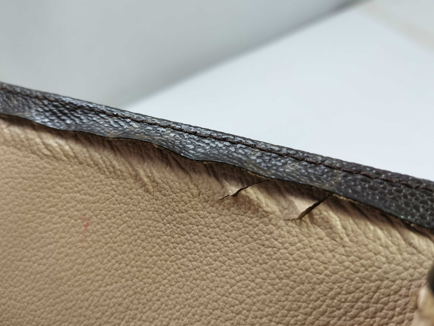 LOUIS VUITTON Monogram Louis Vuitton Monogram Sac Plat Tote Bag