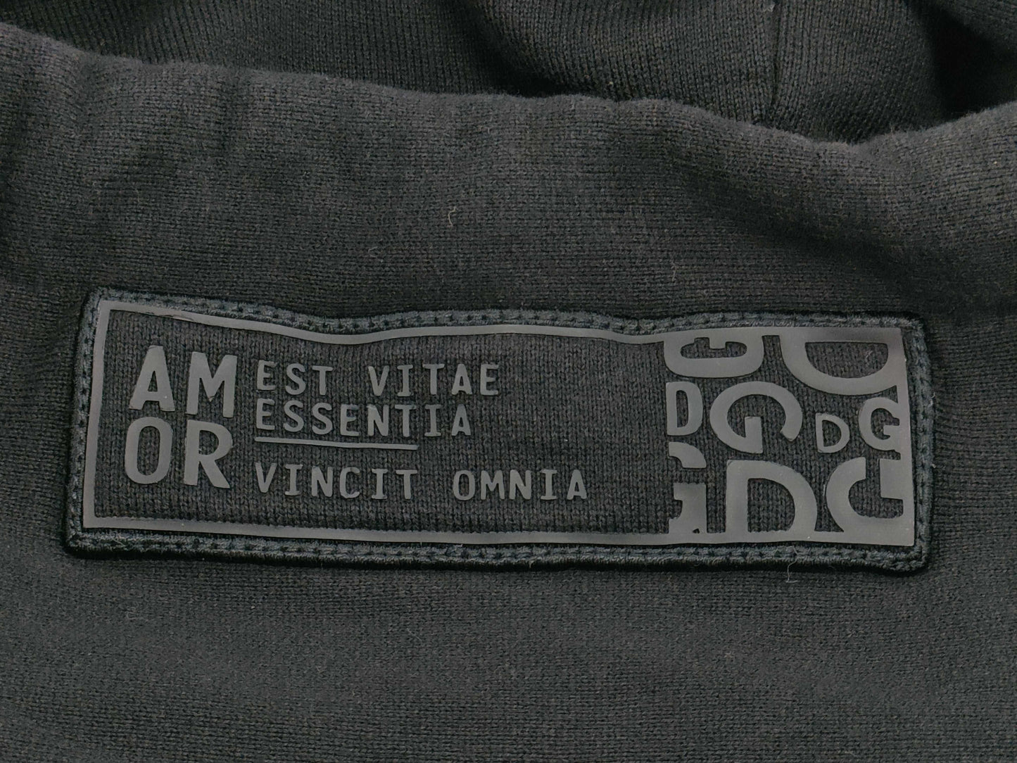 DOLCE&GABBANA DOLCE GABBANA Logo Embroidered Hoodie G7WXY-B Tops