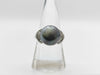 Black South Sea Pearl Ring, approx. 12.4mm diameter, 0.31ct, 8.6g, PT900