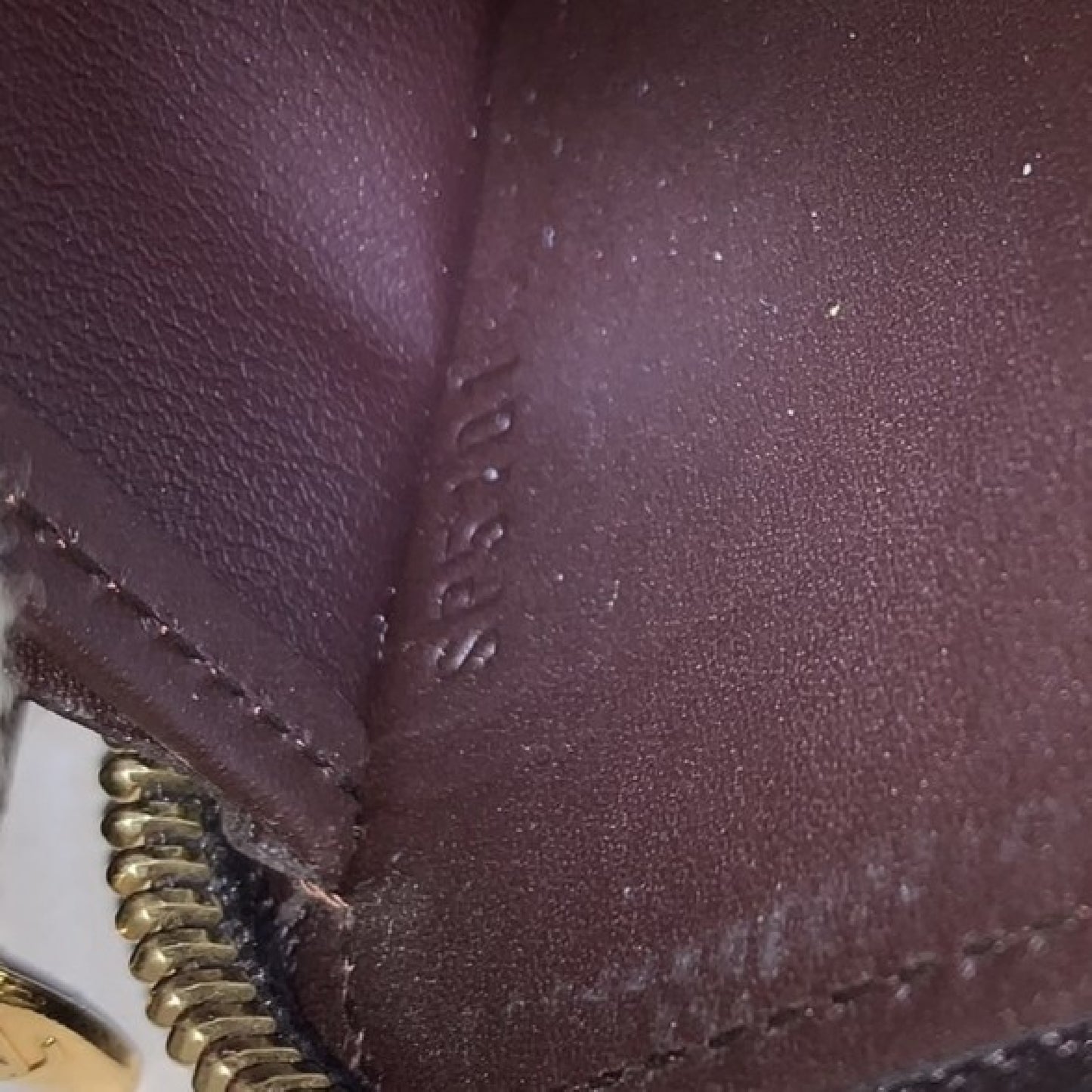 LOUIS VUITTON Vernis Zippy Wallet