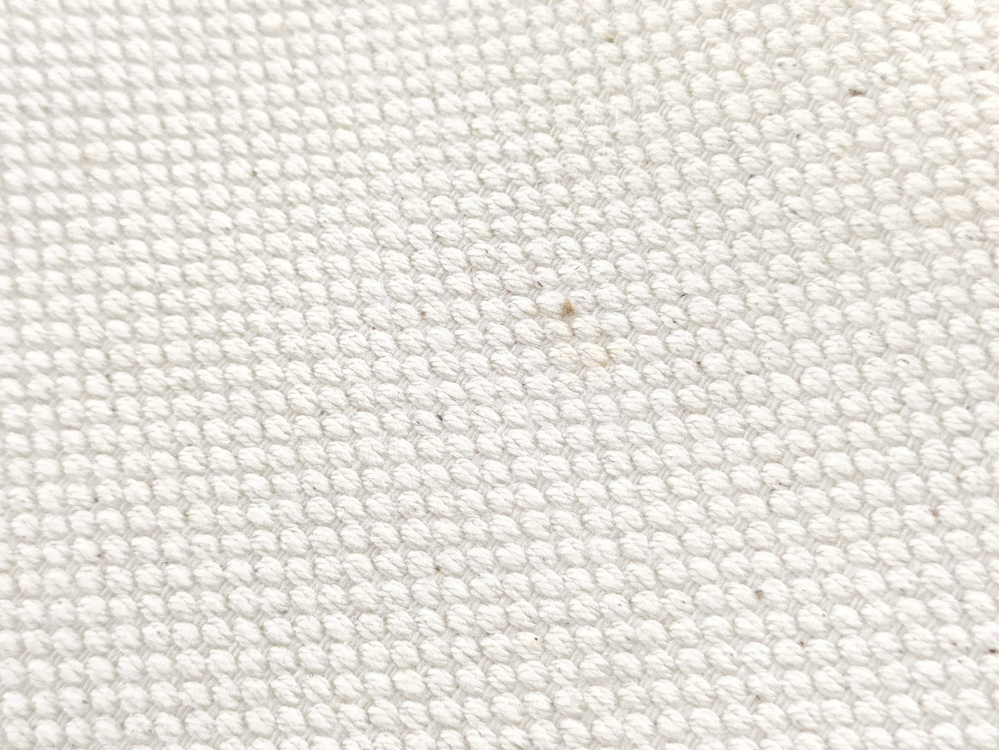 CELINE Horizontal Cabas Canvas Tote Bag with Key