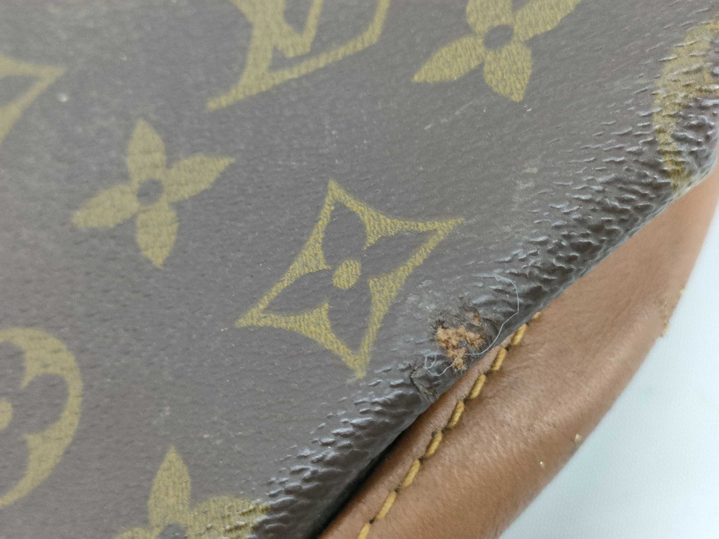 LOUIS VUITTON Monogram Louis Vuitton Monogram USA Bucket Tote Bag