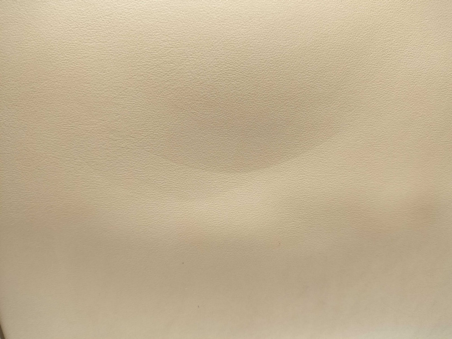 Cartier Cabochon Tote Bag