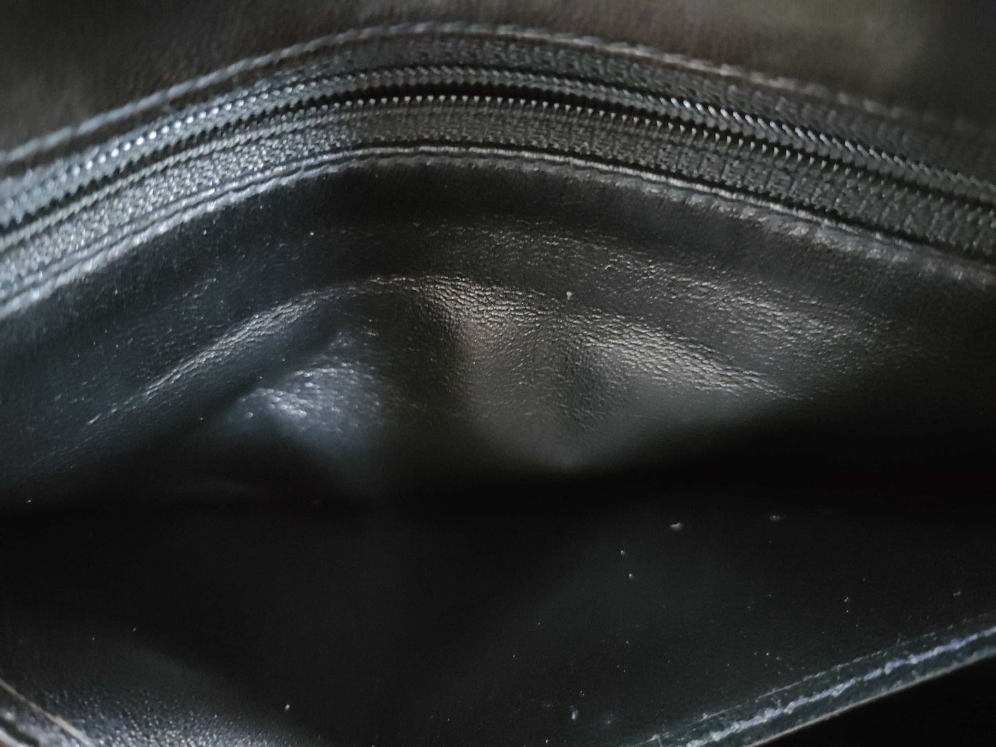 CHANEL Lambskin Tortoiseshell Plastic Chain Shoulder Bag in Black