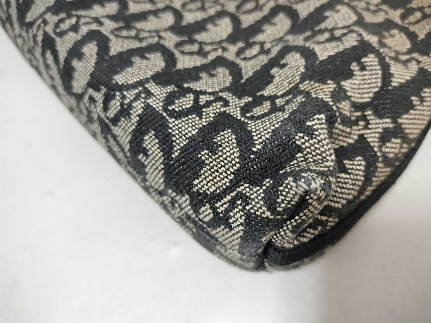 Dior Trotter Accessory Pouch Shoulder Bag