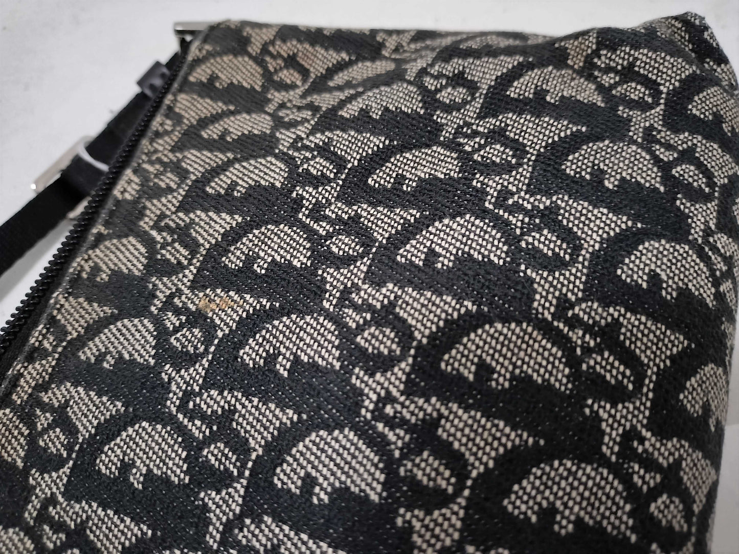 Dior Trotter Accessory Pouch Shoulder Bag