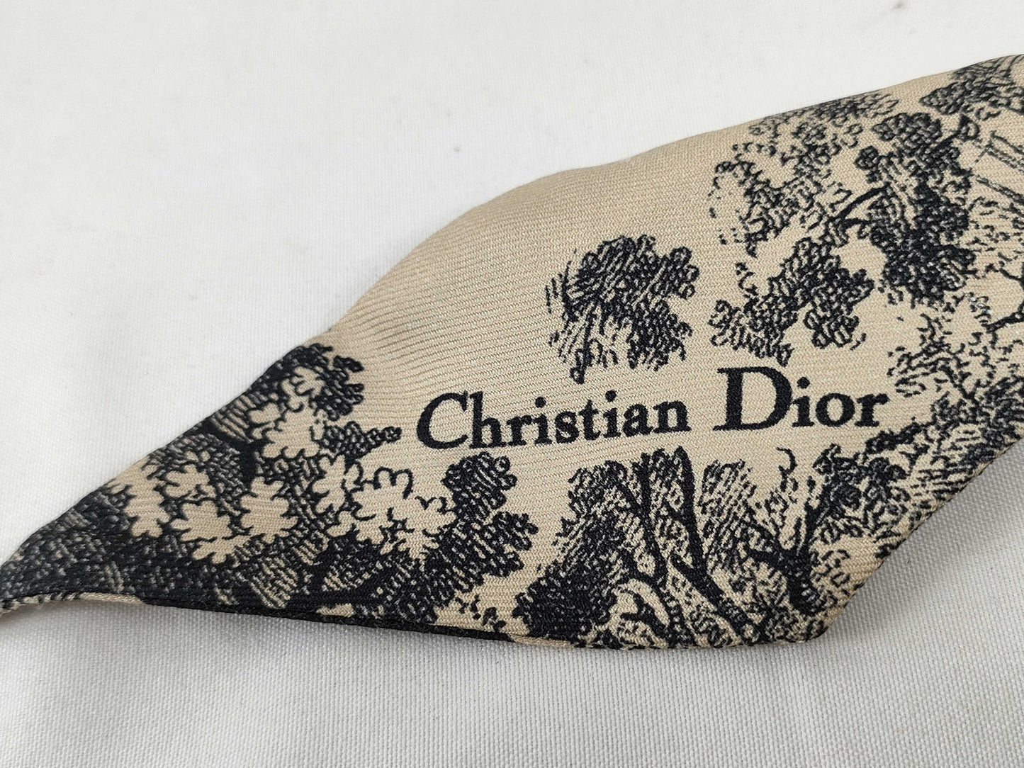 Dior Sauvage Twilly Scarf Other Accessories