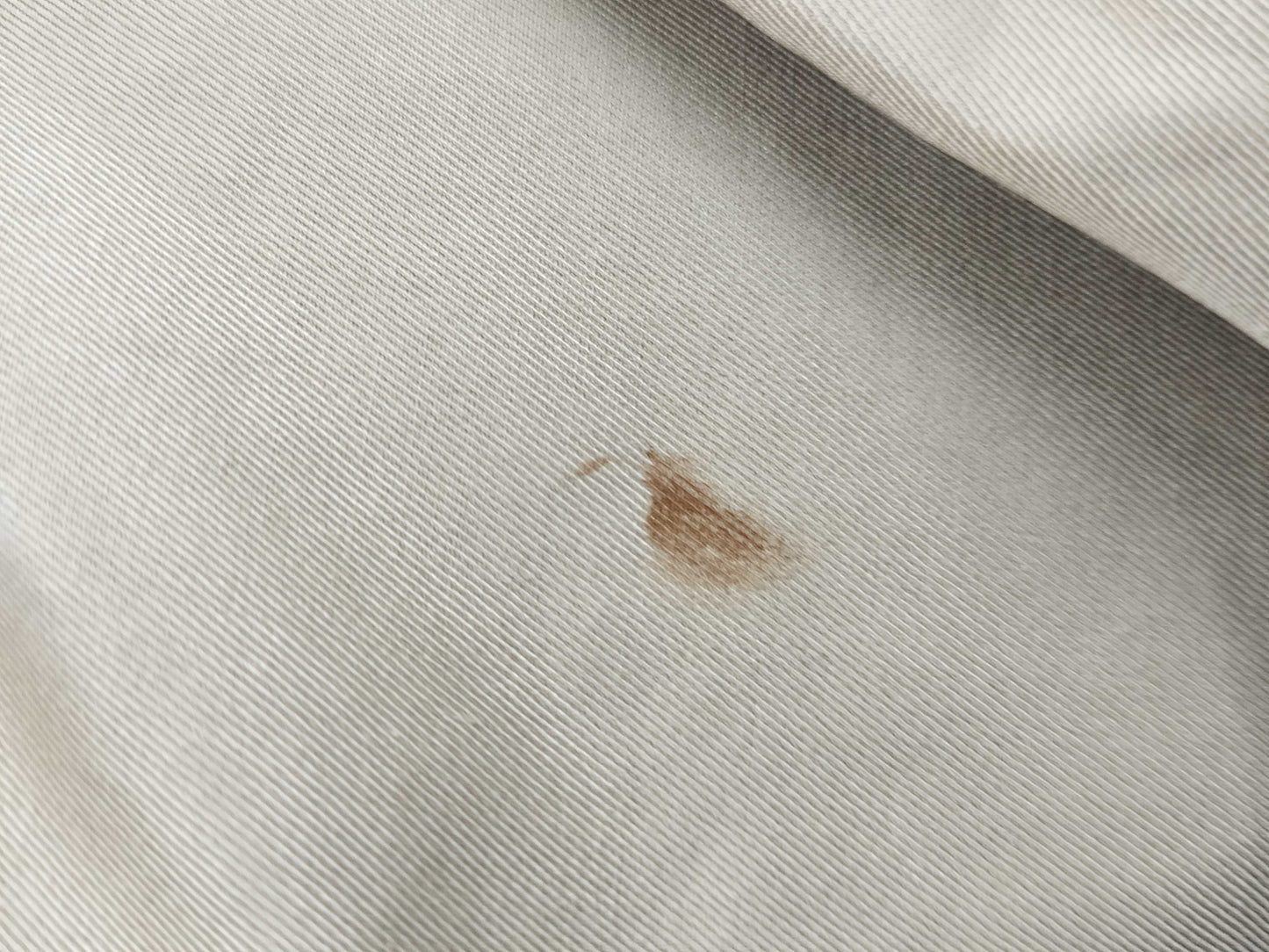 BURBERRY Coat Size 7AR Coat