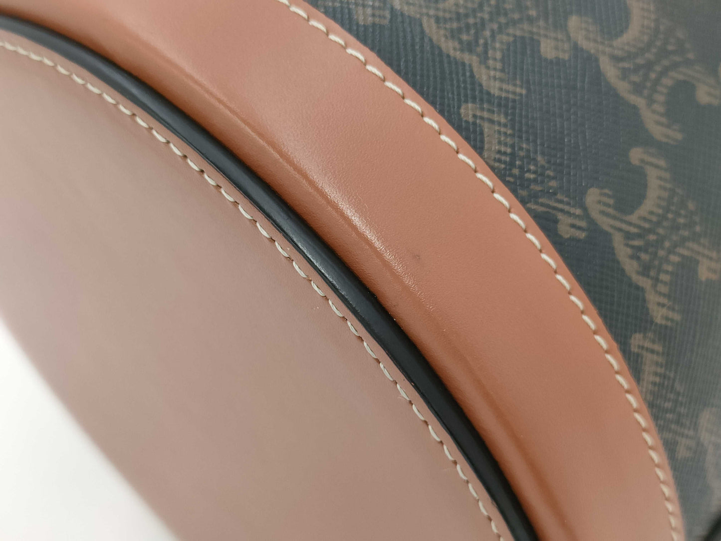 CELINE Triomphe Tambour Vanity PVC/Leather Vanity Bag with Gold Hardware
