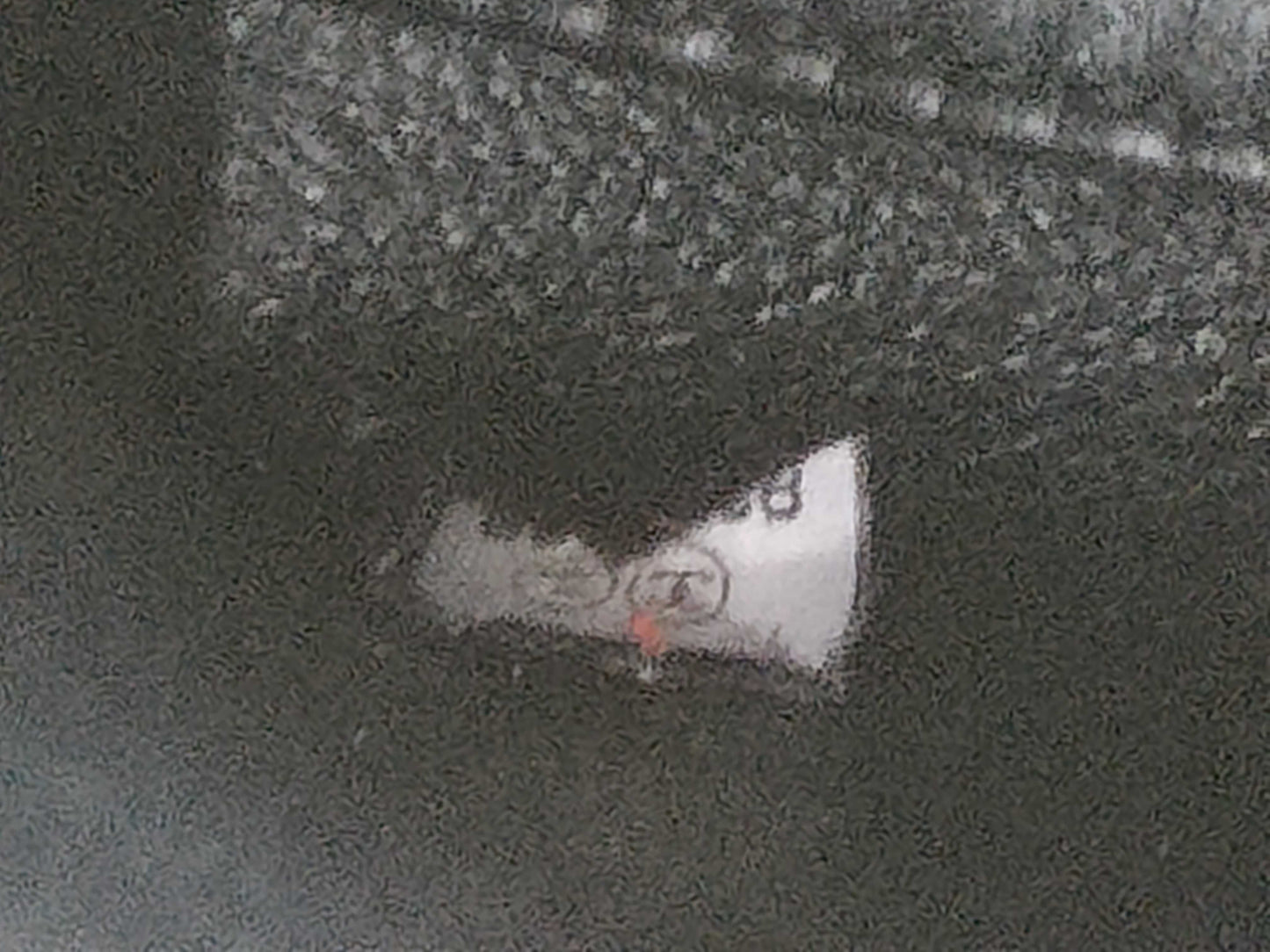 CHANEL Caviar Skin Matelasse Handbag
