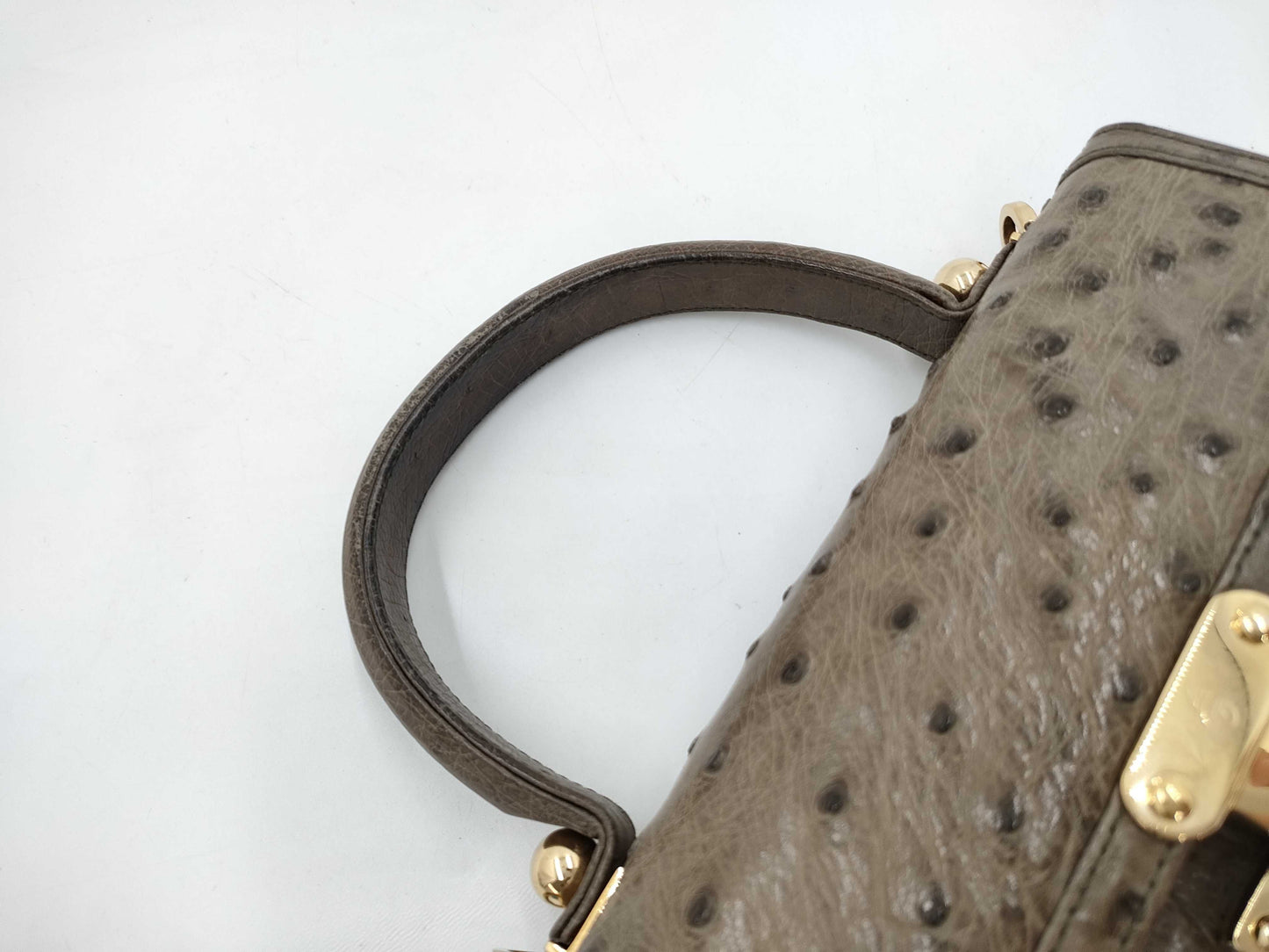 Comtesse 2-Way Ostrich Shoulder Bag