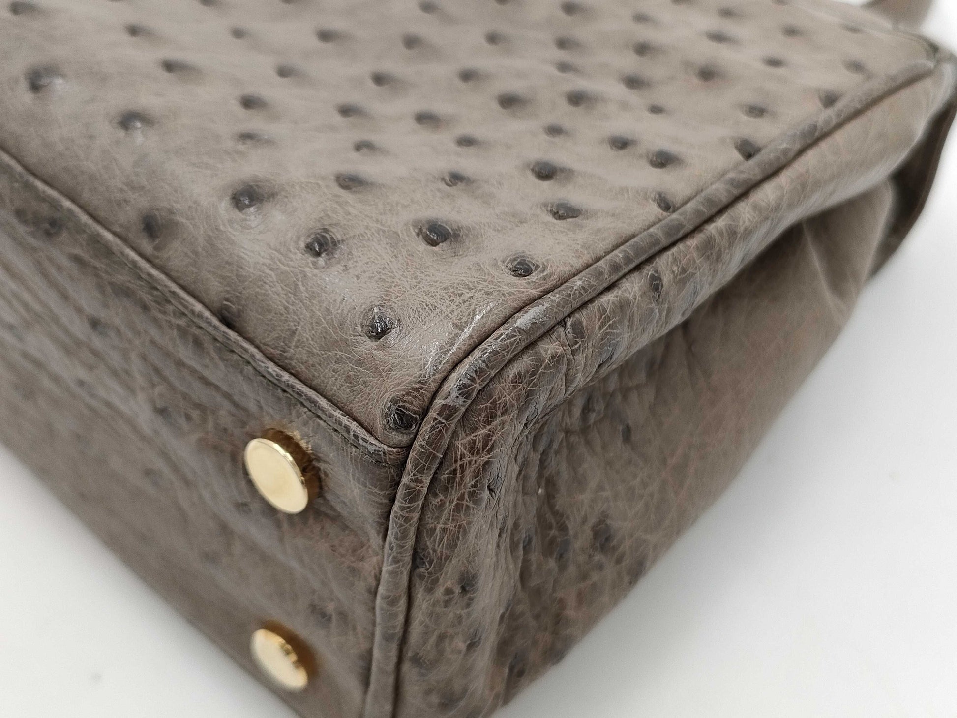 Comtesse 2-Way Ostrich Shoulder Bag
