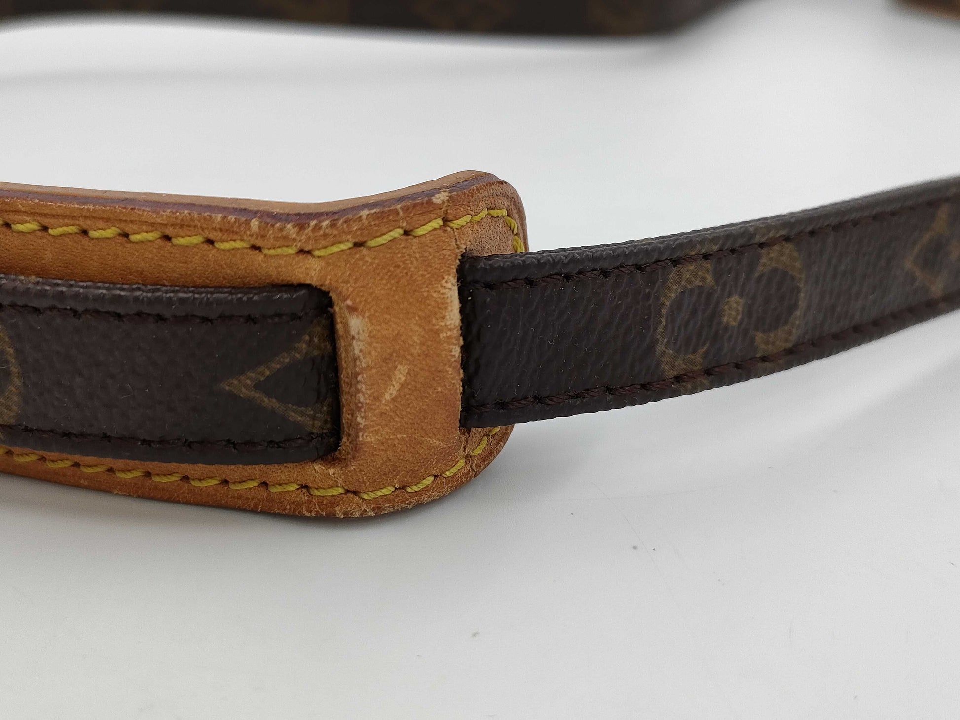 LOUIS VUITTON Monogram Amazon Shoulder Bag