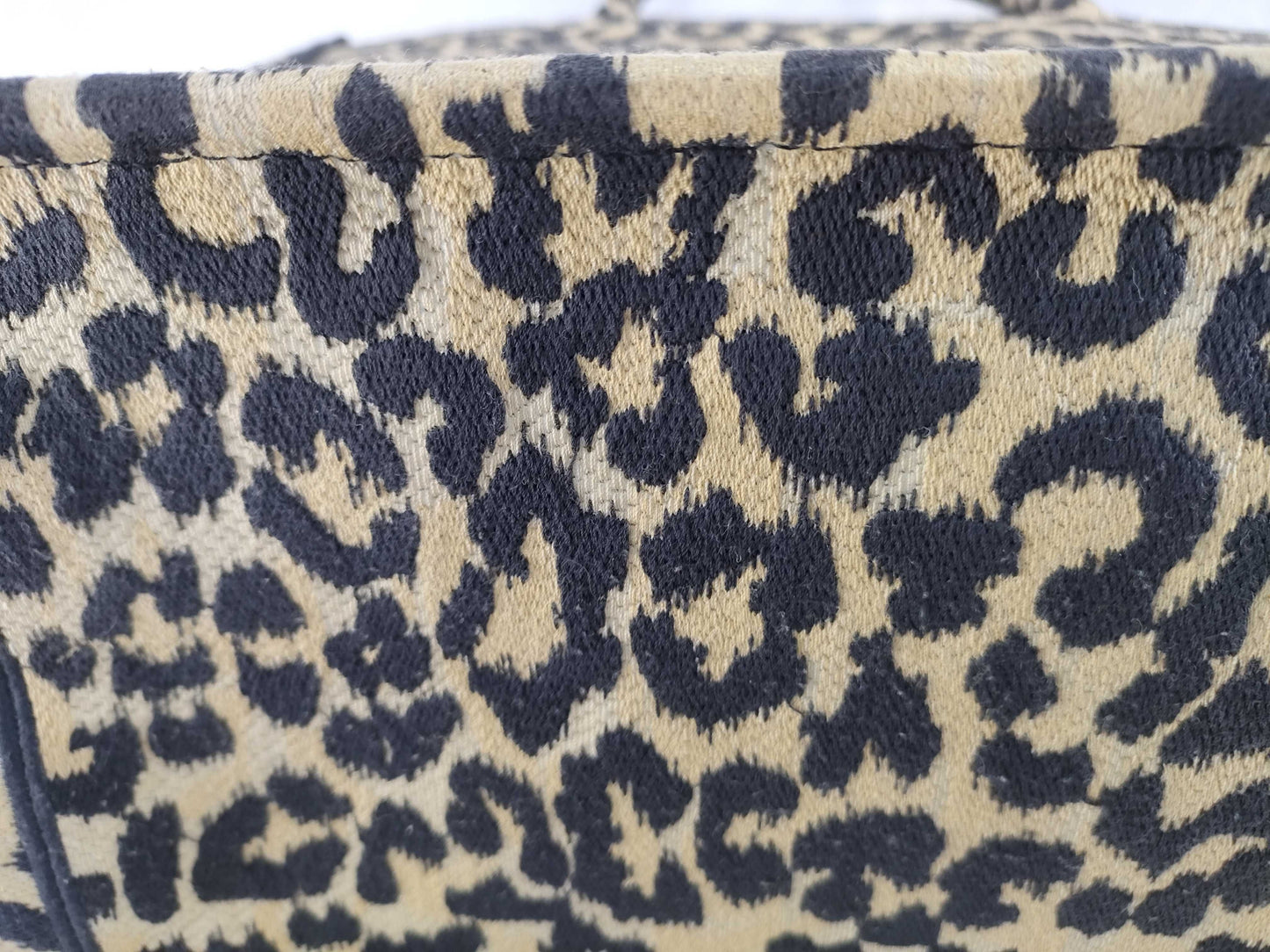 Dior Christian Dior Book Tote Leopard Print Tote Bag