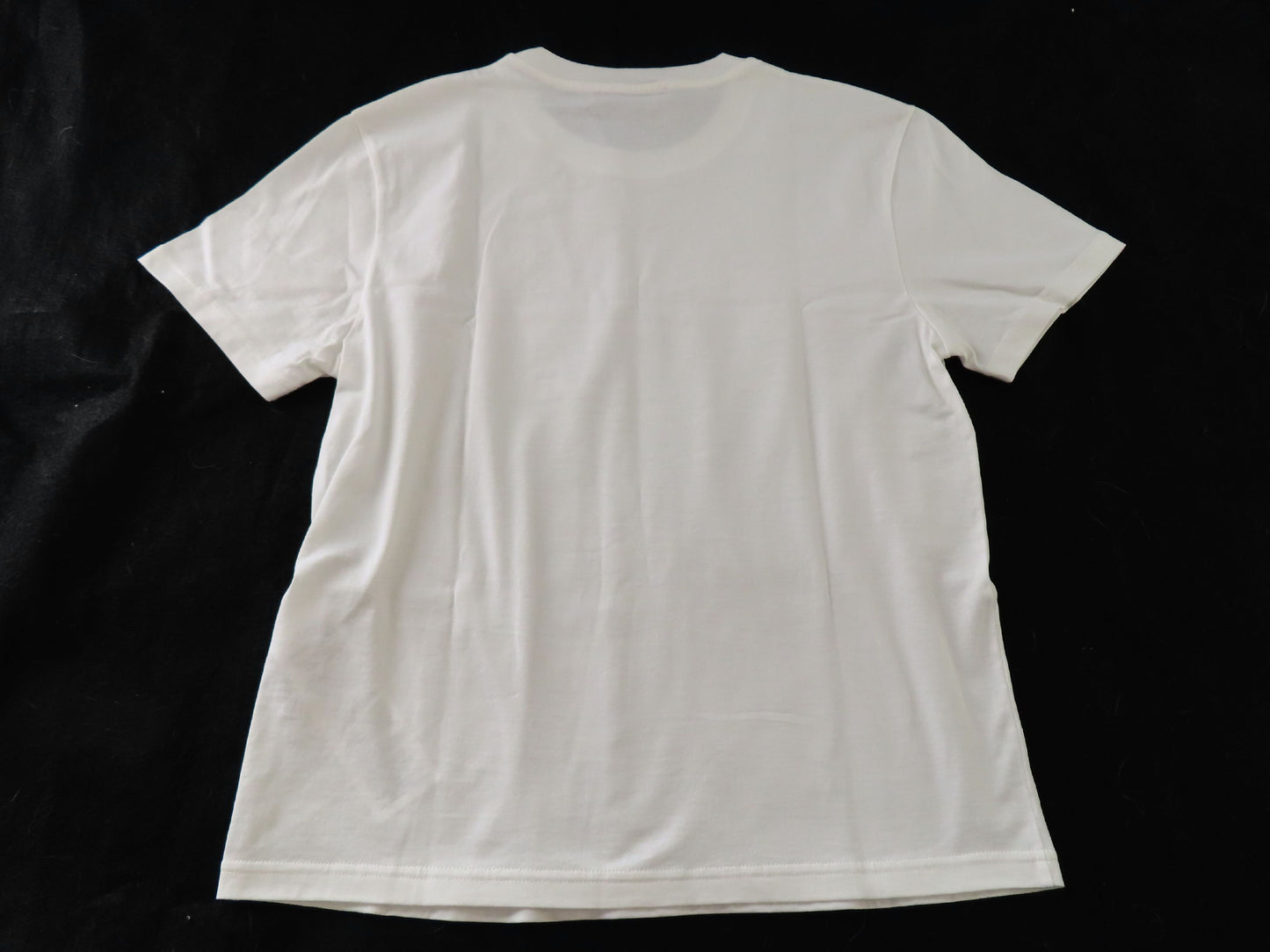 GUCCI Short Sleeve T-Shirt White T-Shirt