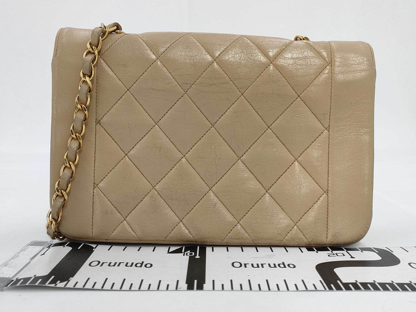 CHANEL Diana 22 Lamb Chain Shoulder Bag with GD Hardware