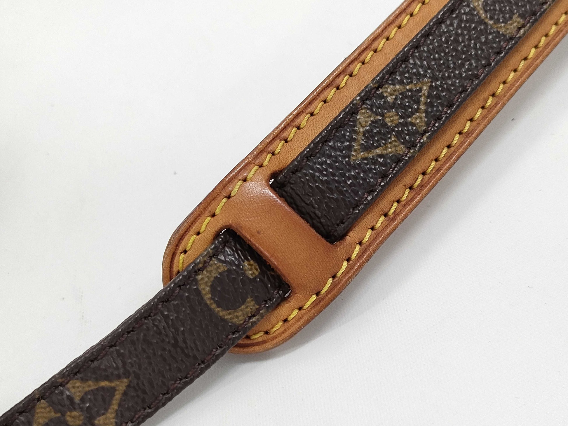 LOUIS VUITTON Monogram Danube Shoulder Bag