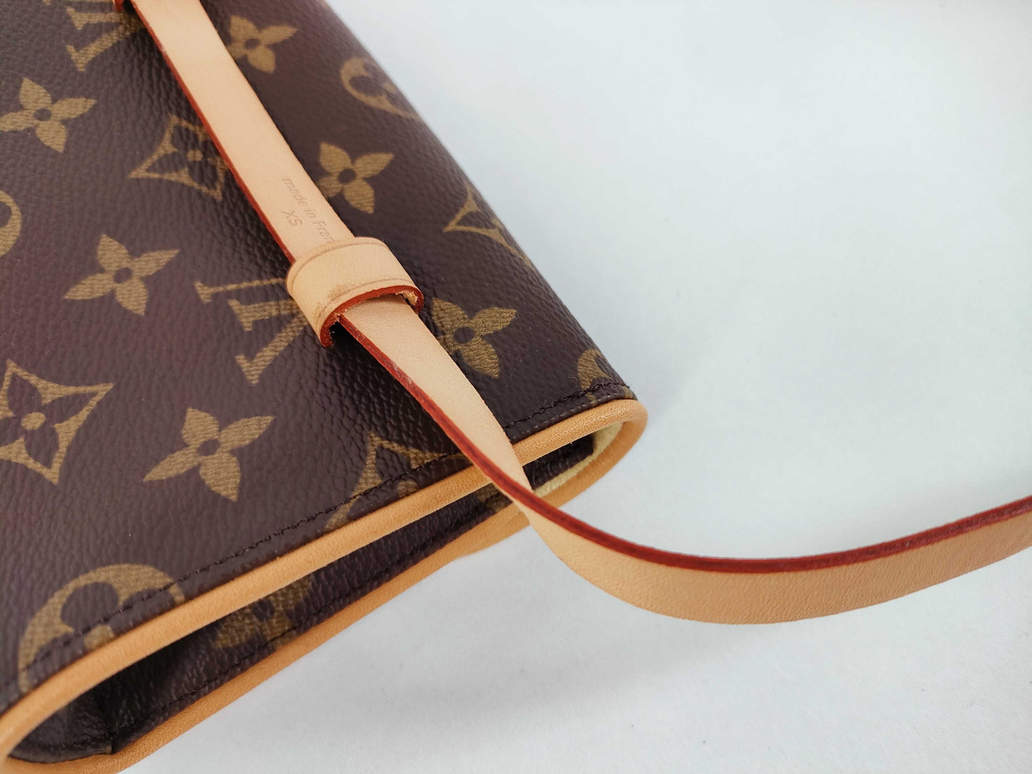 LOUIS VUITTON Monogram Pochette Florentine Shoulder Bag
