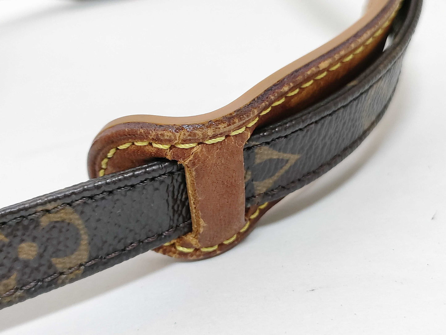 LOUIS VUITTON Monogram Amazon M45236 TH0024 Shoulder Bag